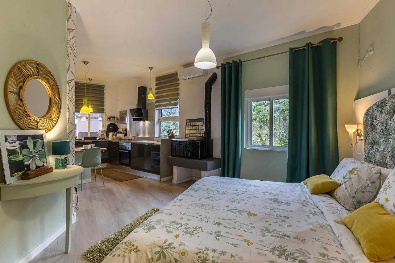 Apartment Villa Sophia By Alma Holiday Rentals Canico